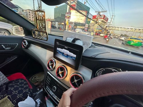 Click to view full screen พรมหนัง Taplo พร้อมลายคาร์บอนเกรดสูง photo review